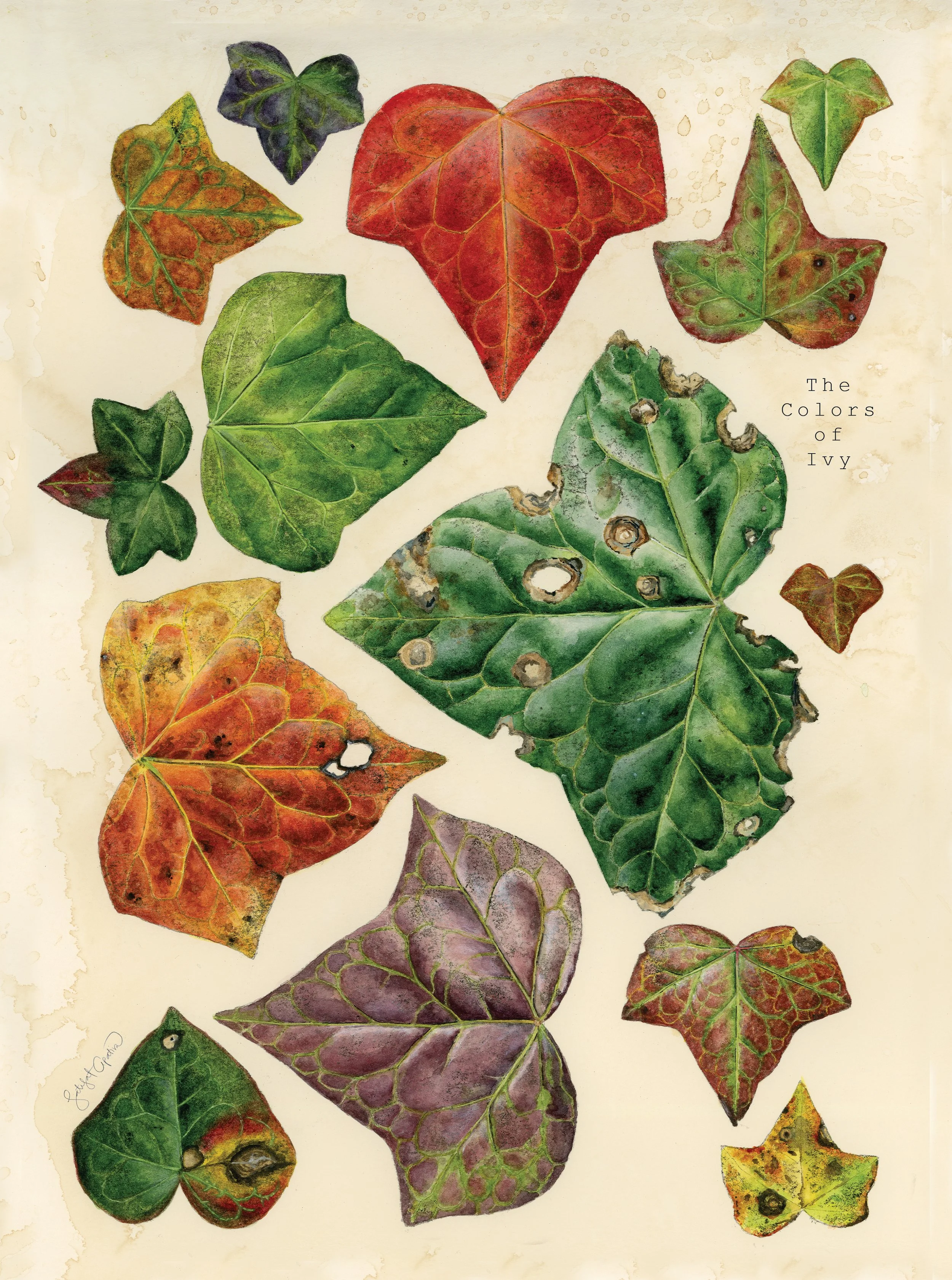leaves of color — titilayola prints